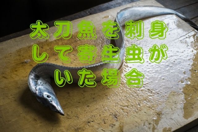 太刀魚を刺身して寄生虫がいた場合の対処方法 いつまで寝かせると刺身で美味しく食べられるの 日持ちはいつまで クラの井戸端会議